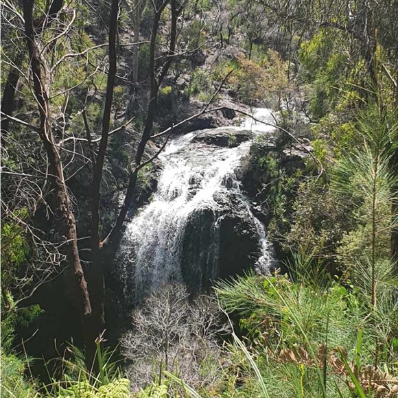 Meet your Posher, Tammy - Picture 4 of 5